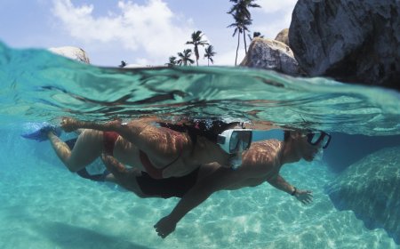 Dive In: 5 Must-Visit Snorkeling Spots in the Caribbean
