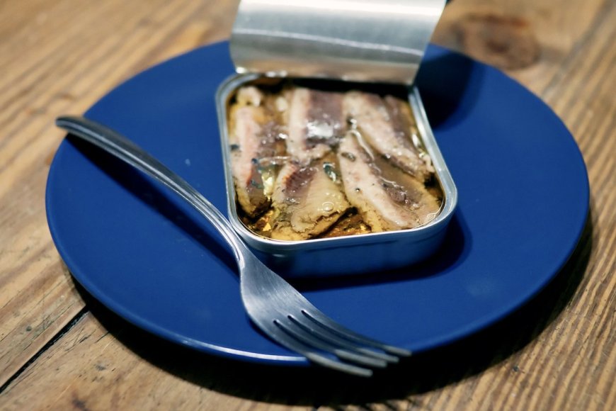 Canned Sardine Recipes: Pasta Sauce with Sardines