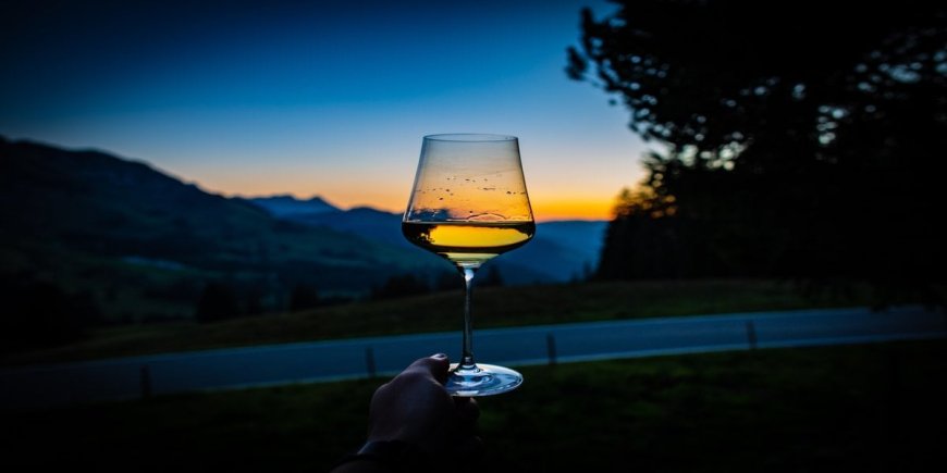 The Best Wine Regions in California: Travel Guide 2023