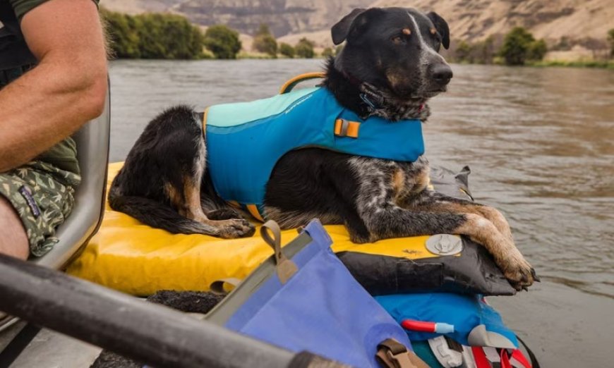 Dreaming of Summer? Stock Up On Gear For Your Favorite Water Sports 