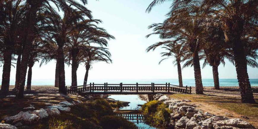 4 Reasons to Visit Málaga this Winter