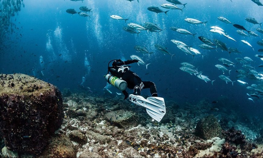 How To Get Scuba Certified: A Step-by-Step Guide