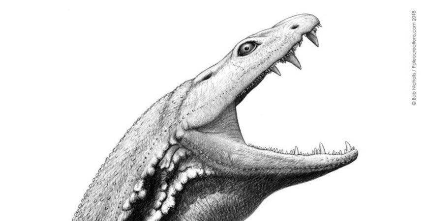 How Scientists Rebuilt a 300-Million-Year-Old Scottish Swamp Monster From Shattered Fossils