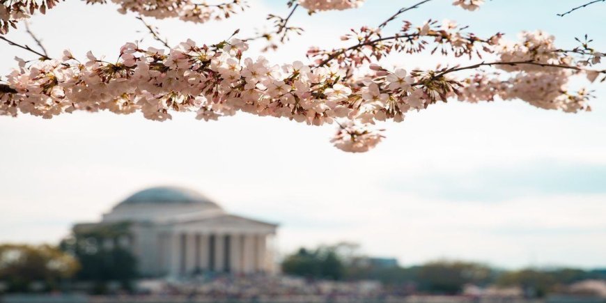 Best Places To Go For Memorial Day Weekend 2023