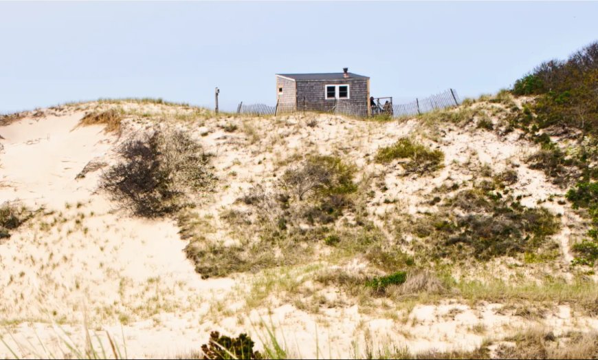 Do You Have What it Takes to Live in Cape Cod’s Sand Dunes?