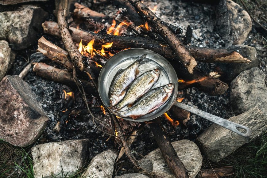 7 Tips for Campfire Cooking