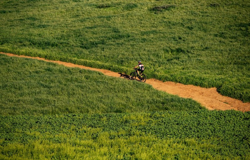The 12 Best Mountain Biking Trails in California