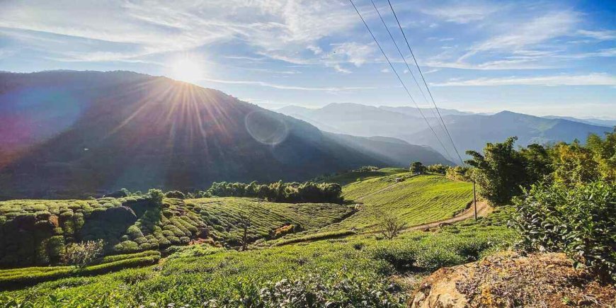 The Best Sonoma County Camping Areas in California: Summer Vacations 2023