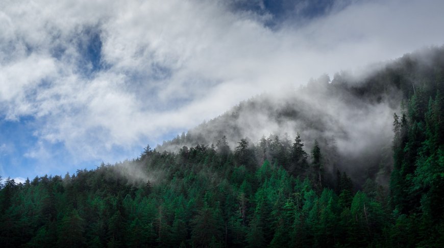 Top 5 British Columbia Vacation Rentals to Explore Jordan River, BC