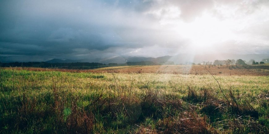 Your Guide to the Perfect Napa Valley Vacation