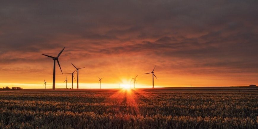 World Environment Day 2023: Eco-Friendly Glamping Ideas