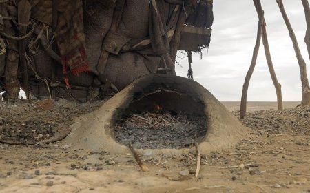 Mud and Bamboo: 3 Natural Cooking Tools That Bear Grylls Uses in the Wild