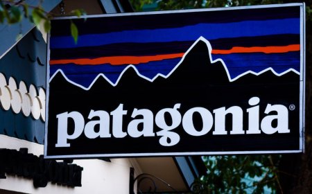 Shop at Nordstrom Rack? Your Patagonia Clothes Might be Fake