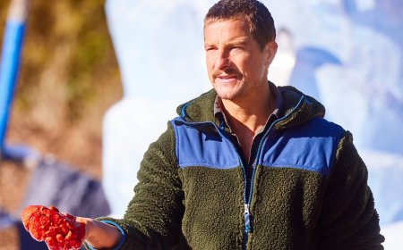 A Look at Bear Grylls’s TV Career So Far