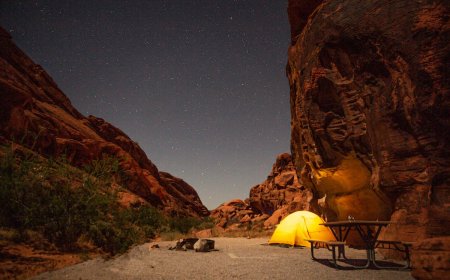 Reservation System Coming to Nevada State Parks