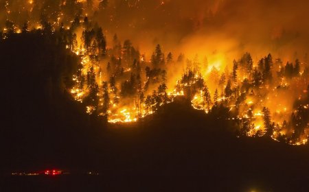 Outdoors Activities Limited As Canadian Wildfires Cover The Northeast In Smoke  