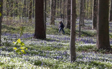 Want to Be Happier? Gretchen Rubin Says Spend 23 Minutes Outdoors Every Day