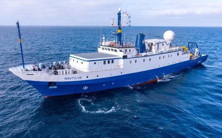 WATCH: Real-Life Face-Hugger? Scientists Find Weird Creature Nearly a Mile Below the Surface