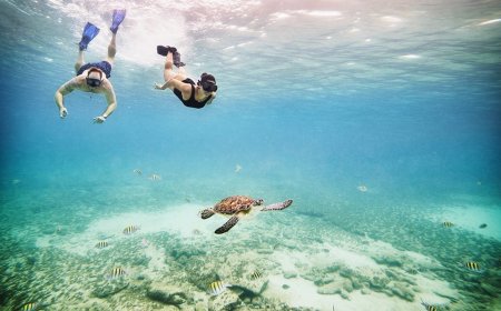 10 Weird and Wonderful Facts for World Oceans Day