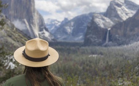 The Greatest, Snarkiest and Most Clever Tweets from the National Park Service 