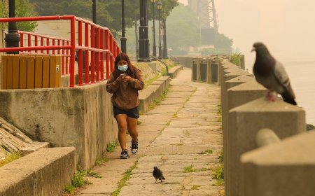 How To Protect Yourself From and Make Sense of Wildfire Smoke