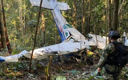 Here’s How Four Children Survived 40 Days Lost in the Amazon Jungle