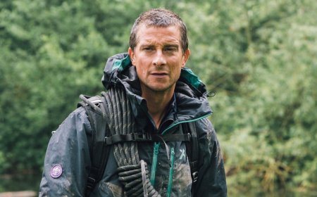 Here Are The Deadly Insects You Should Avoid, According To Bear Grylls