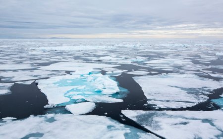 Humans Are Causing the North Pole to Move 4 cm Each Year, and That’s Not Good