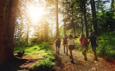 Nature vs. Burnout: How the Great Outdoors Could Address the Burnout Epidemic