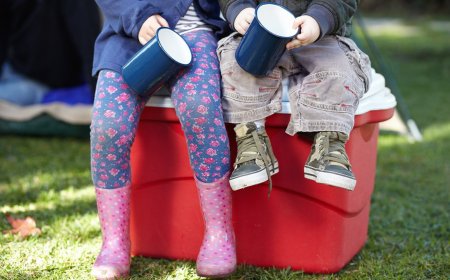 The Best Coolers for All Budgets and All Outdoor Adventures 