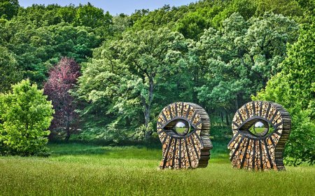 Check out These Art and Sculpture Gardens in the United States