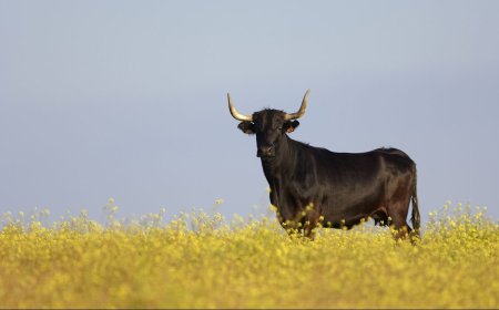 Bear Grylls on How to Avoid Hippos, Bears, Bulls, and Other Dangerous Mammals in The Wild 