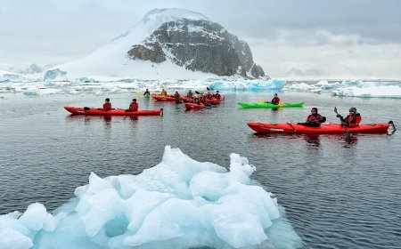 8 Unique Kayaking Experiences, From Bioluminescence to Oyster Farms