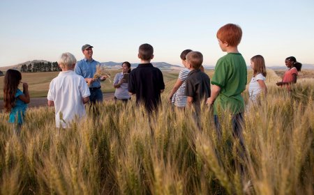Nature Preschools: Is Putting an Emphasis on Outdoors Play The Key To Early Education?