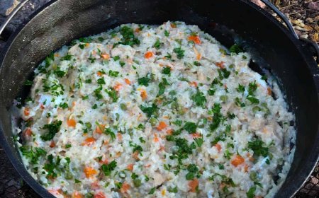 Dutch Oven Chicken And Rice Camping Recipe
