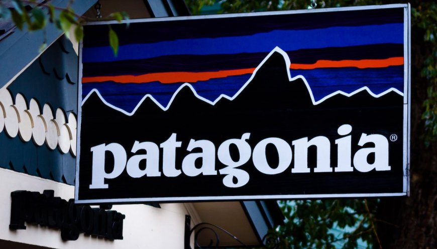 Shop at Nordstrom Rack? Your Patagonia Clothes Might be Fake
