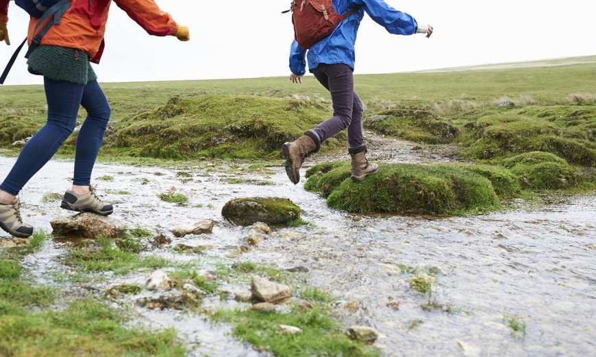 Hiking Shoes Under $200 for Your Next Mountain Adventure