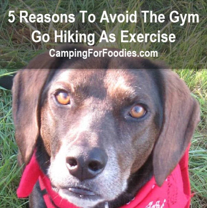Is Hiking Better Than The Gym? 5 Reasons Go For A Hike