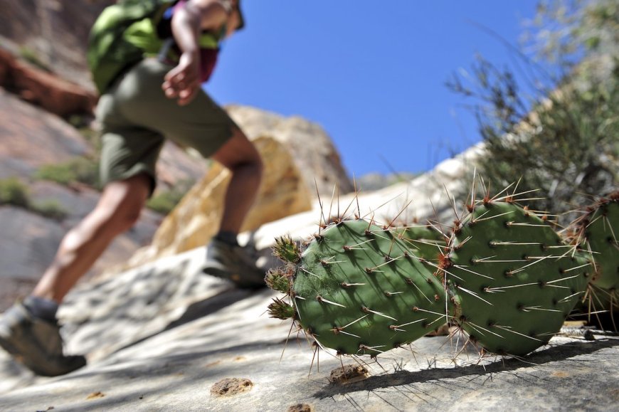 Hiking Near Las Vegas: The 26 Best Trails By Sin City