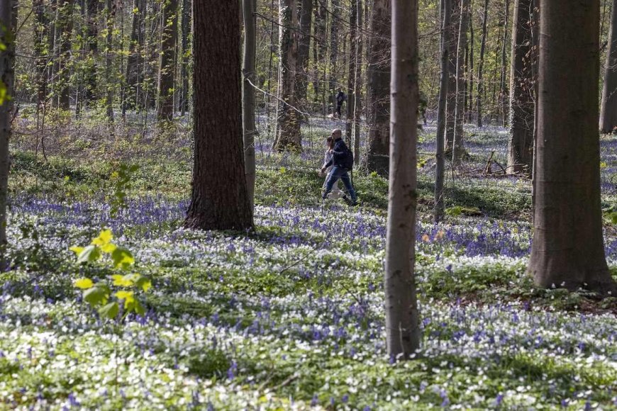 Want to Be Happier? Gretchen Rubin Says Spend 23 Minutes Outdoors Every Day