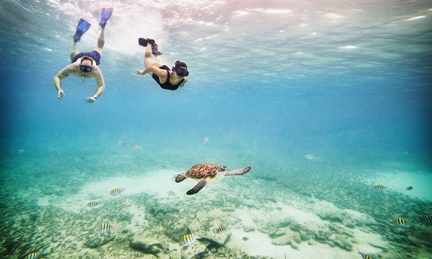 10 Weird and Wonderful Facts for World Oceans Day