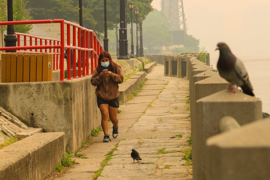How To Protect Yourself From and Make Sense of Wildfire Smoke