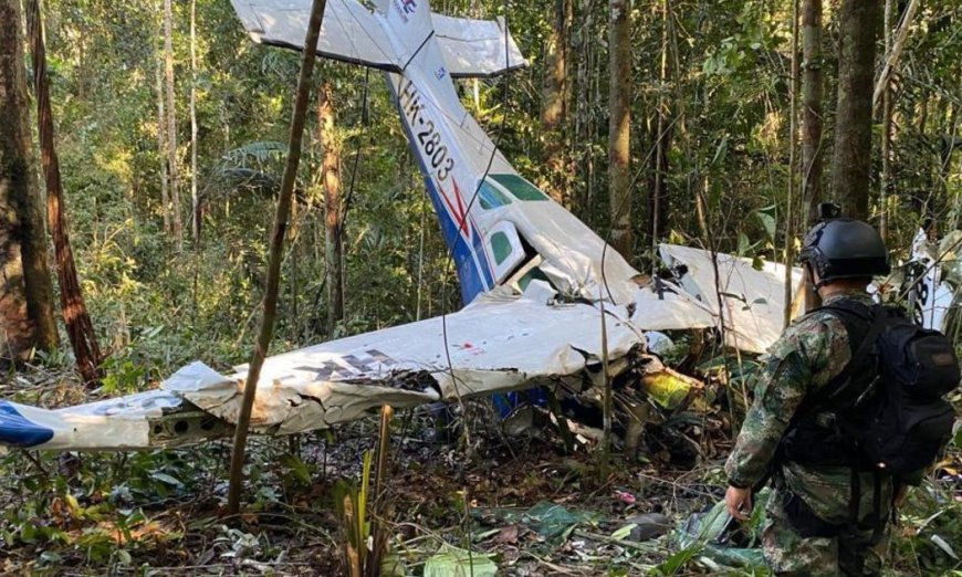 Here’s How Four Children Survived 40 Days Lost in the Amazon Jungle