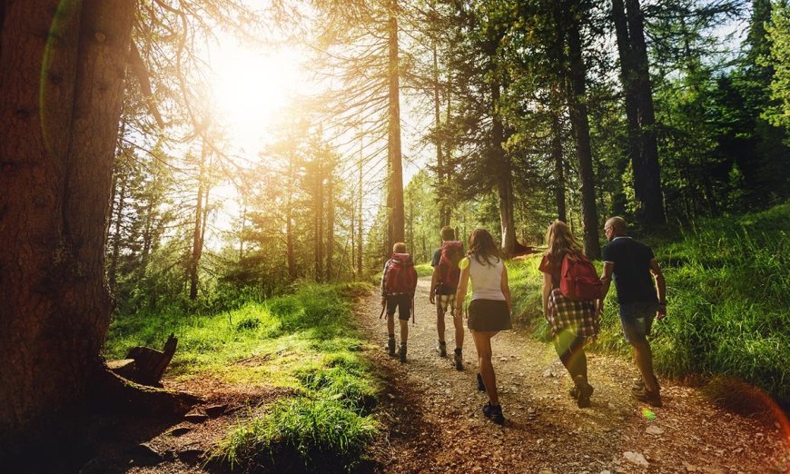 Nature vs. Burnout: How the Great Outdoors Could Address the Burnout Epidemic