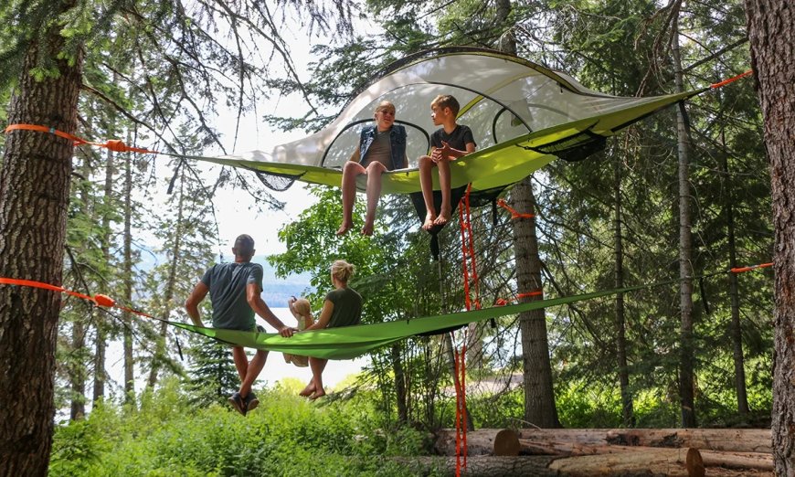 Can Sleeping In The Trees Make You Fall In Love With Camping Again?