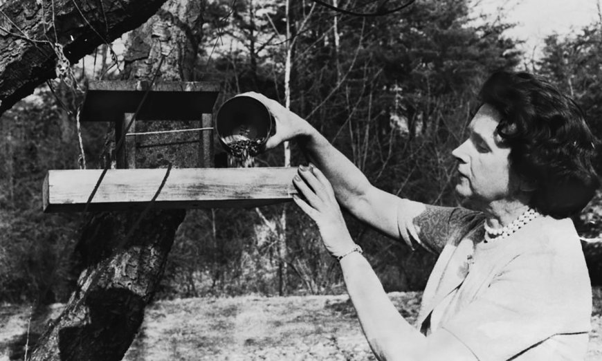 Four Women in the 60s Who Made Amazing Contributions to the Outdoors
