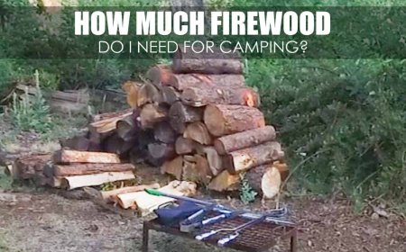 How Much Firewood Do I Need For Camping: Best Types To Burn