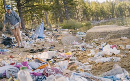 Lake Tahoe ‘Looked Like a Landfill’ After 4th of July as Volunteers Remove Tons of Trash