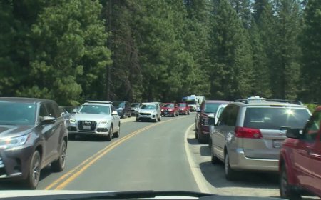 Yosemite Announces Plan to Address Chaotic Traffic Jams