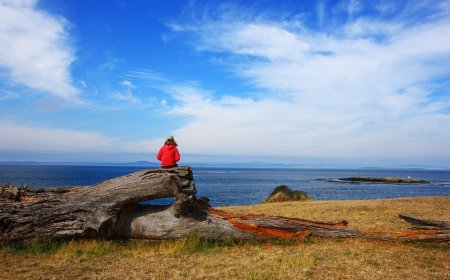 Why Are Some U.S. National Parks Seeing Fewer Visitors, While Others Are Gridlocked?
